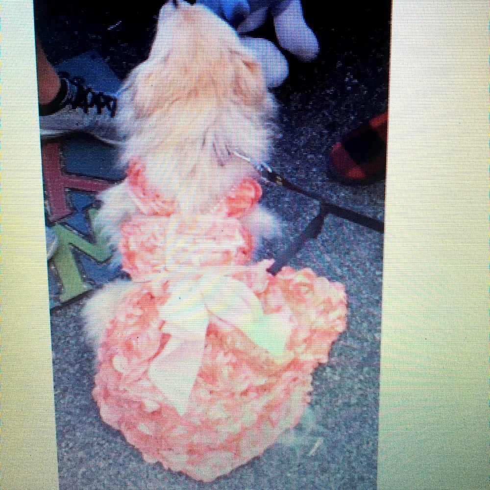 Prom Dress Harness for your Diva Dog